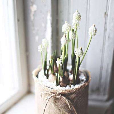 AOA体育官方入口