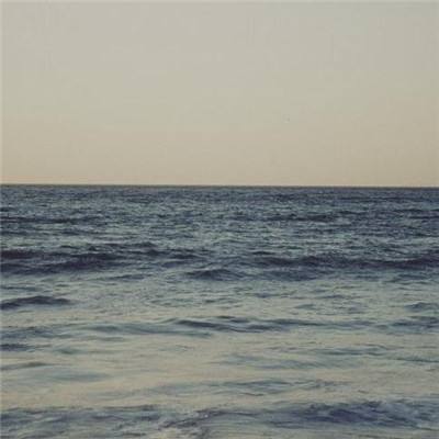 AOA体育官方入口截图