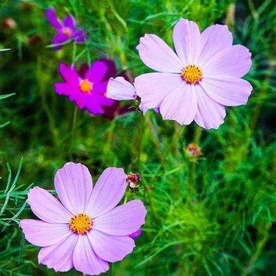 三亿体育手机app下载