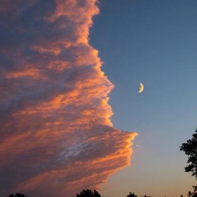 熊猫娱乐app下载手机版截图