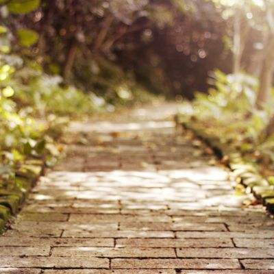 4949澳门免费资料大全app下载