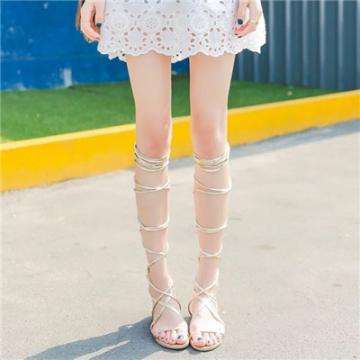 威尼斯wns·8885556截图